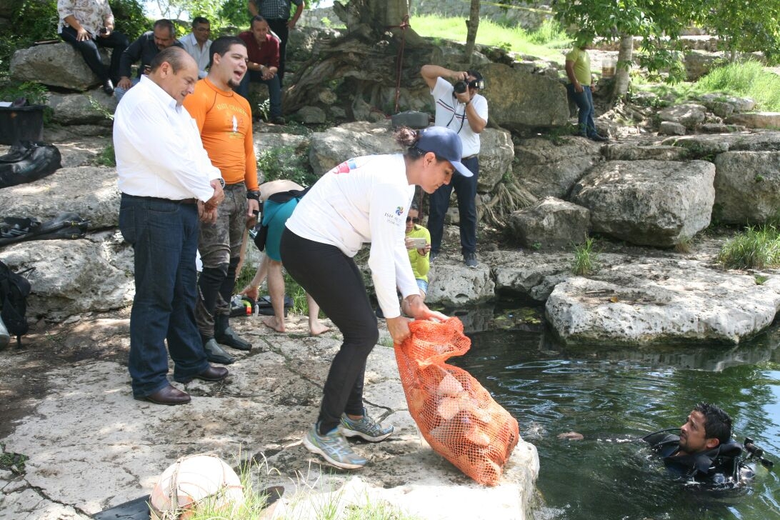 Realizan limpieza en cenote de Dzibilchaltún